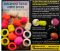 Бойли Enterprise Tackle - Hybrid Boilie Mixed - Ø15 мм - Fluoro White (Мікс штучних гібридних бойлів)